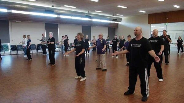 Yang Family Tai Chi 3 Day Workshop Praestoe Denmark End June 2025 Dates and venue to be advised