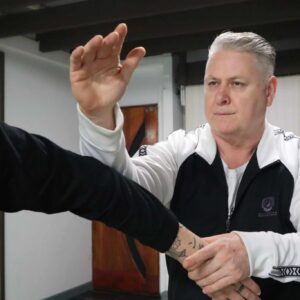 Tai Chi on Demand video training