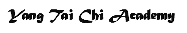 Yang Tai Chi Academy