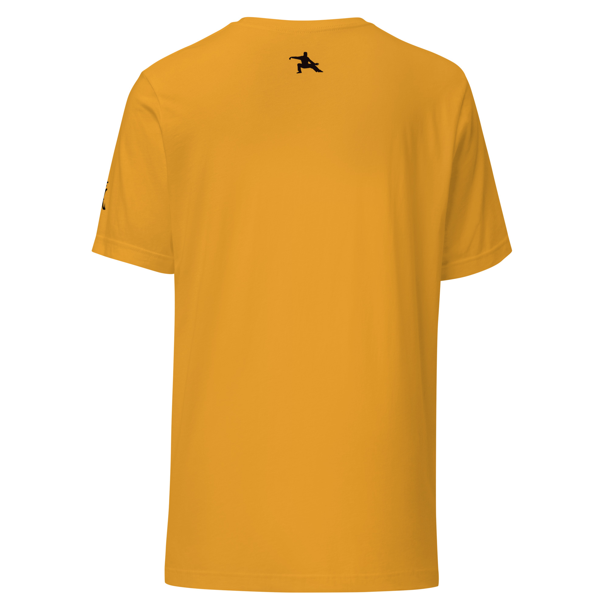 Tai Chi Classic masters Yang Jian Hou Unisex t-shirt - Image 4