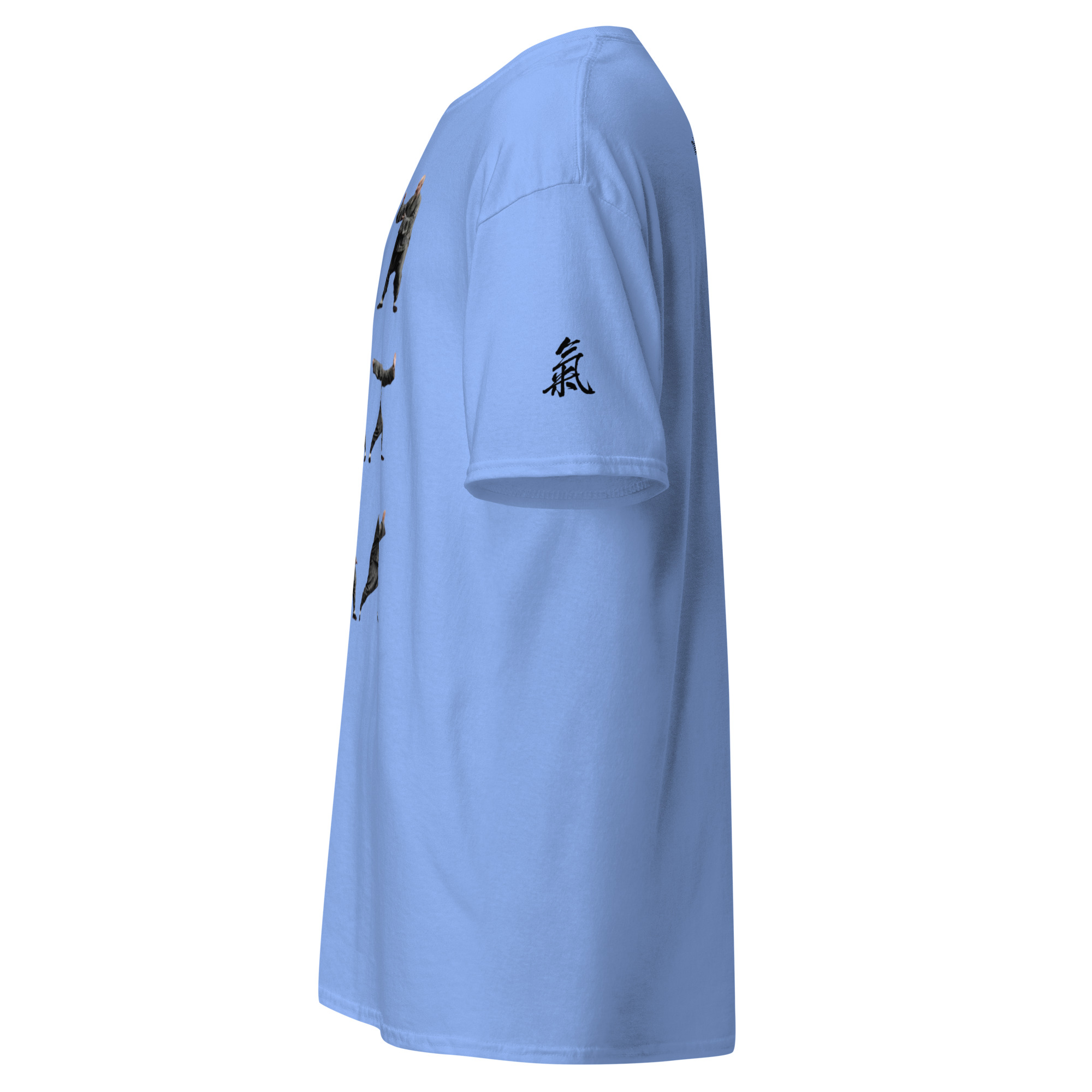 Tai Chi Masters Yang Jian Hou Unisex classic tee available in many colours - Image 10