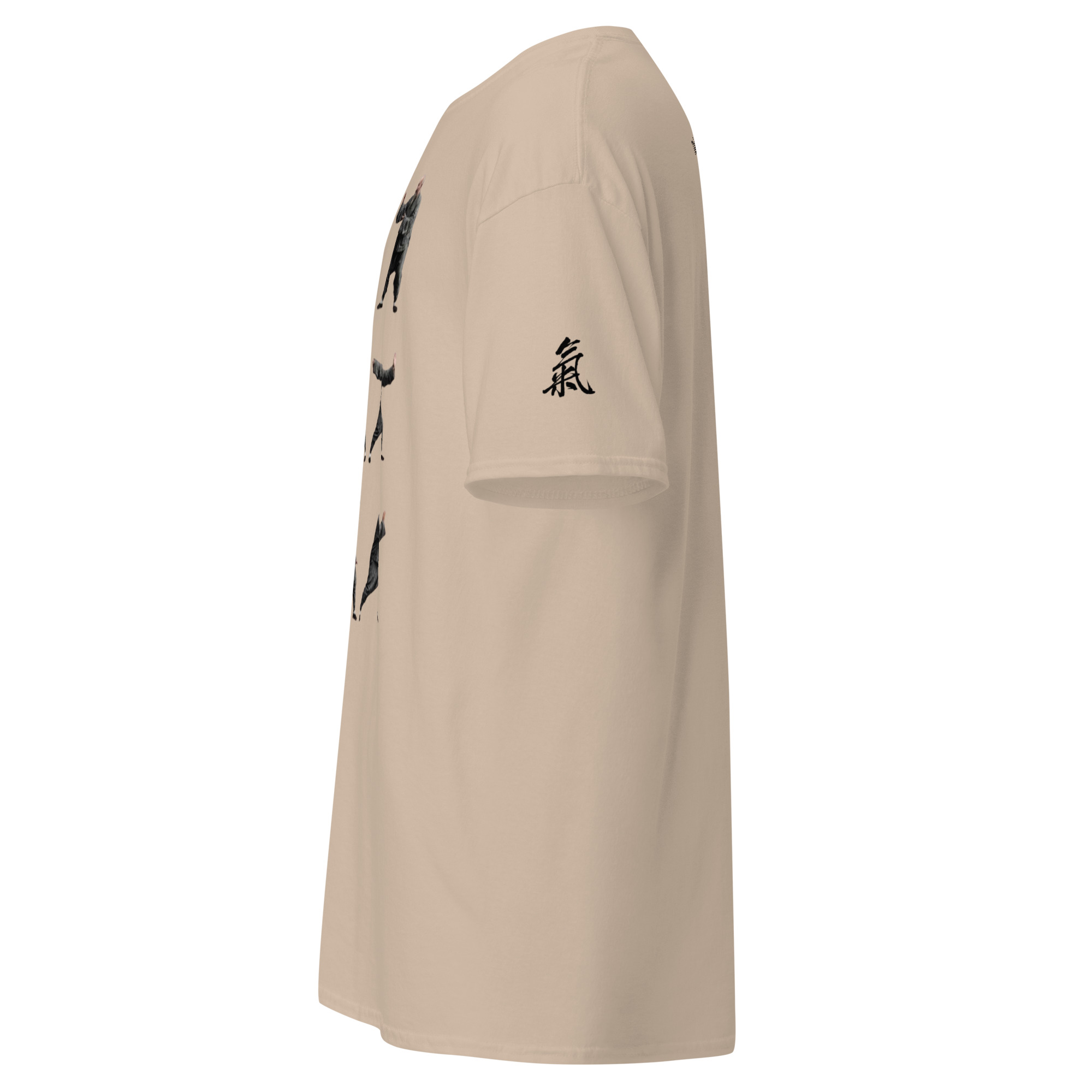Tai Chi Masters Yang Jian Hou Unisex classic tee available in many colours - Image 11