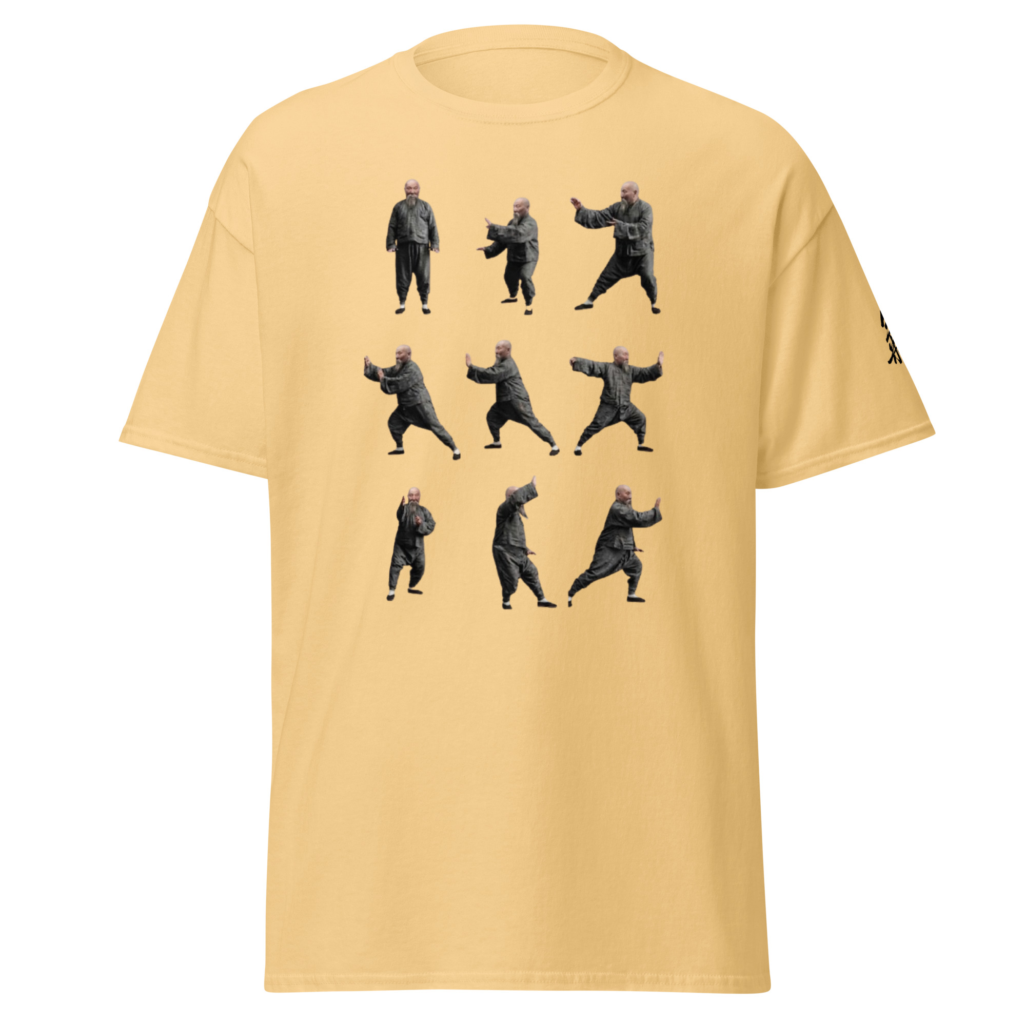 Tai Chi Masters Yang Jian Hou Unisex classic tee available in many colours - Image 20