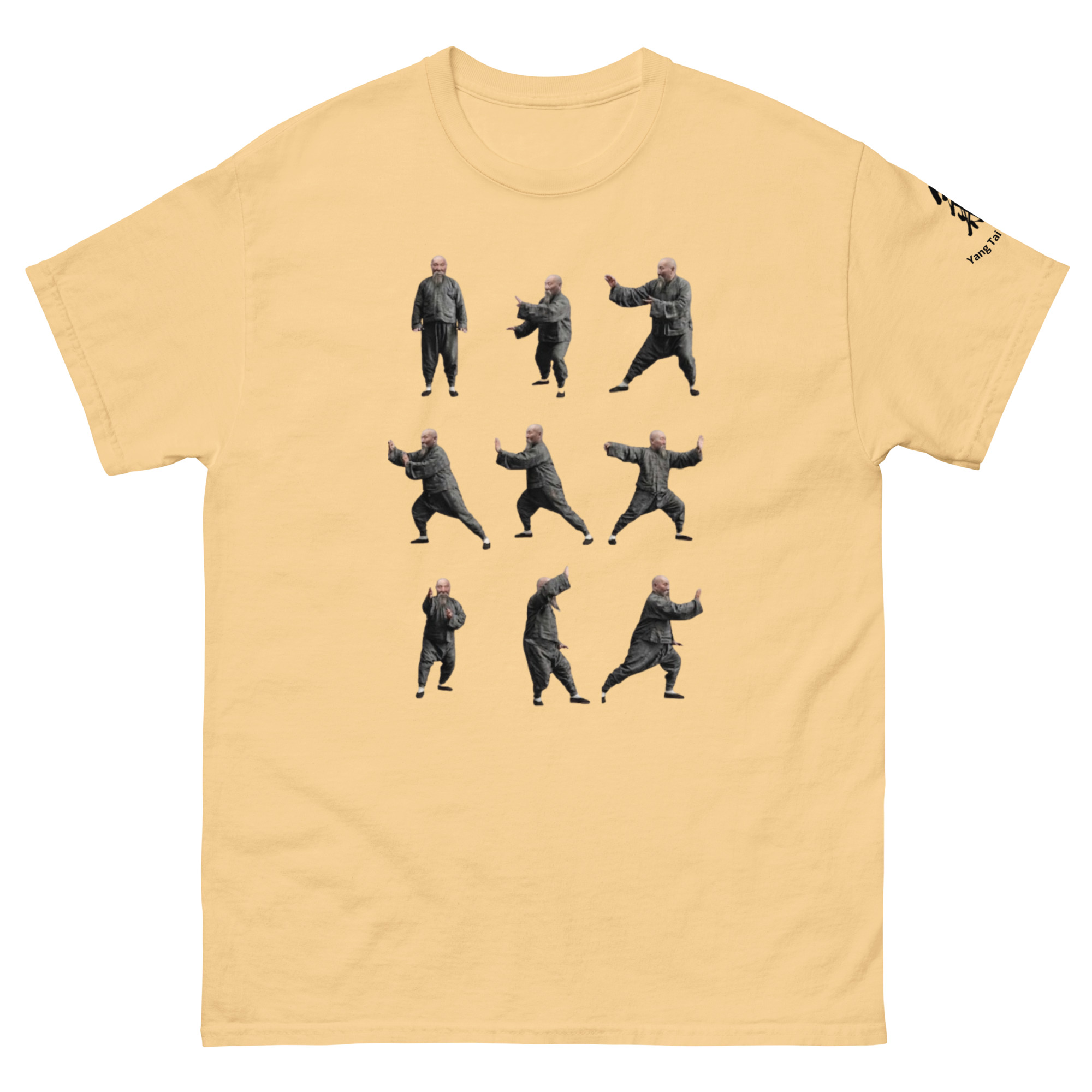 Tai Chi Masters Yang Jian Hou Unisex classic tee available in many colours - Image 38